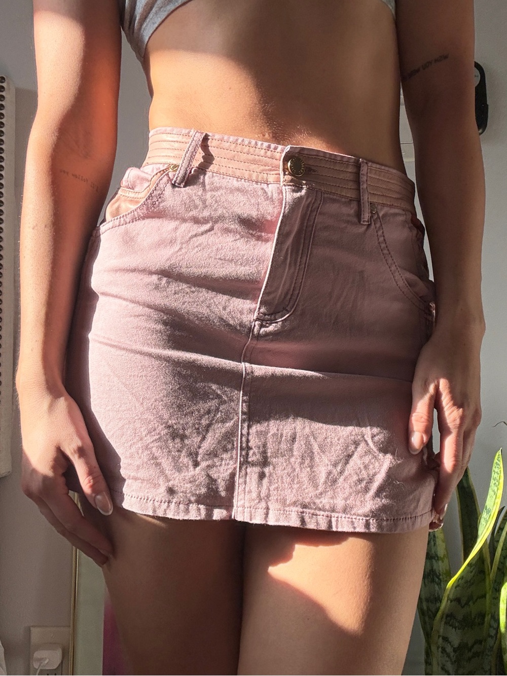 Roberto Cavalli Dusty Rose Velvet-Trim Mini Skirt